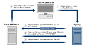 PayPal's Payment Data Transfer