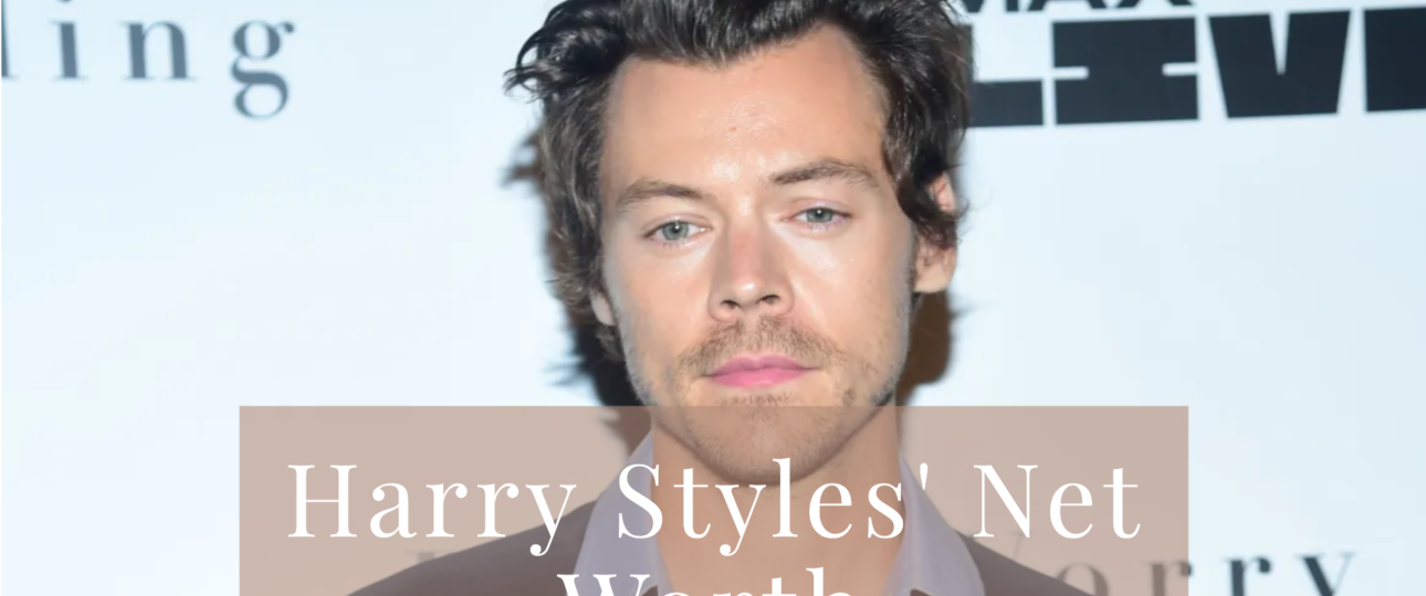 Harry Styles Net Worth in 2024