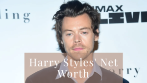 Harry Styles Net Worth in 2024